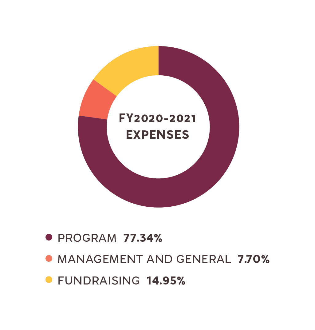 Main_FY20-21_Expenses_Piechart-A Main_FY20-21_Expenses_Piechart-A