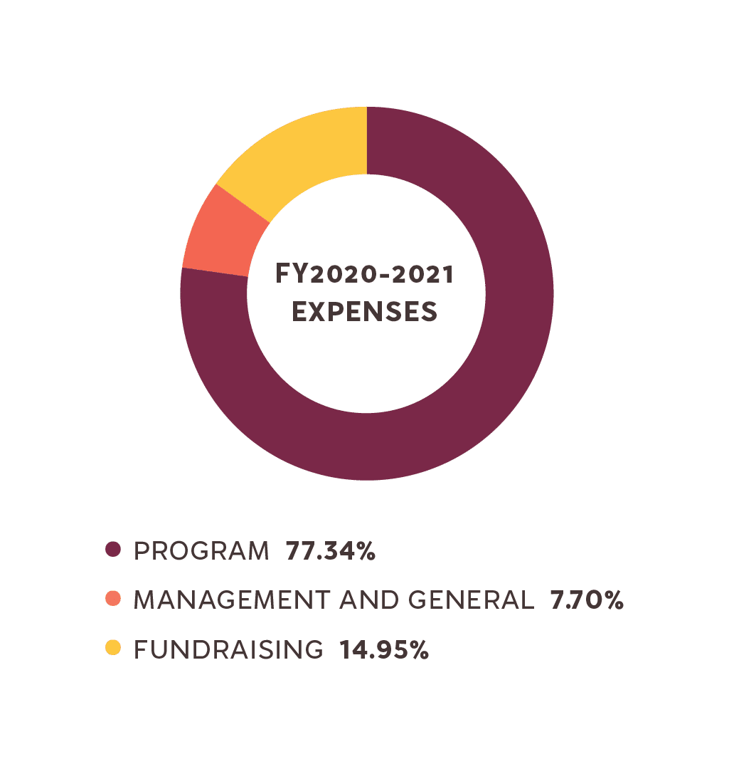 Main_FY20-21_Expenses_Piechart-A