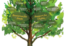 Advocacy Tree