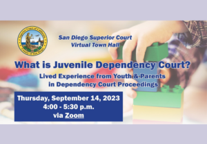 SD Court Town Hall