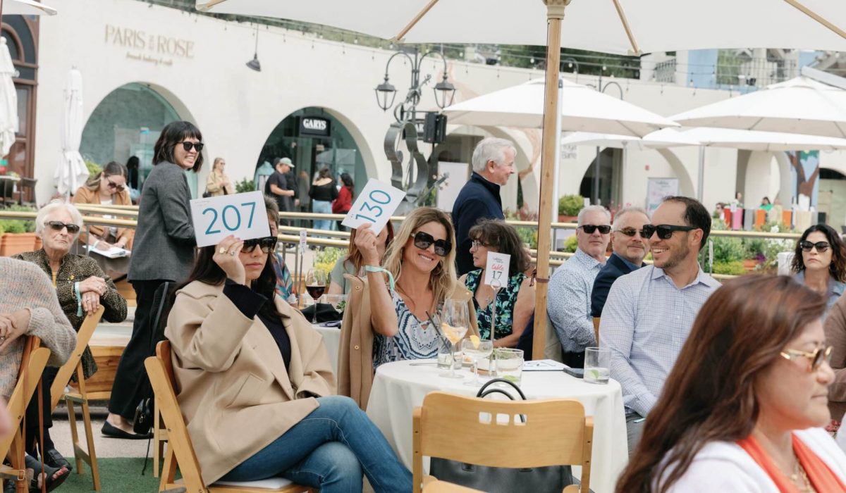 54530738416_ab47e02a5e_o